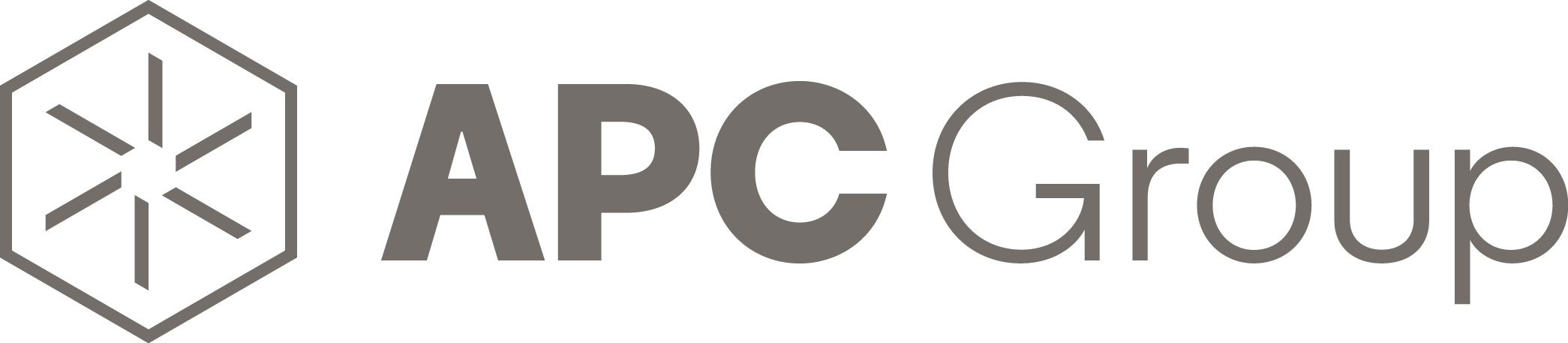 APC Pharmaceuticals & Chemical Limited cover