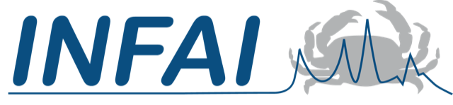 Couverture de Infai GmbH